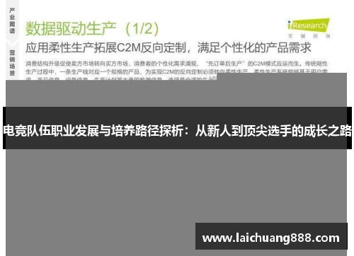 电竞队伍职业发展与培养路径探析：从新人到顶尖选手的成长之路
